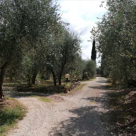 דירות קולה ואל ד'אלזה Nel Chianti Lungo La Francigena מראה חיצוני תמונה
