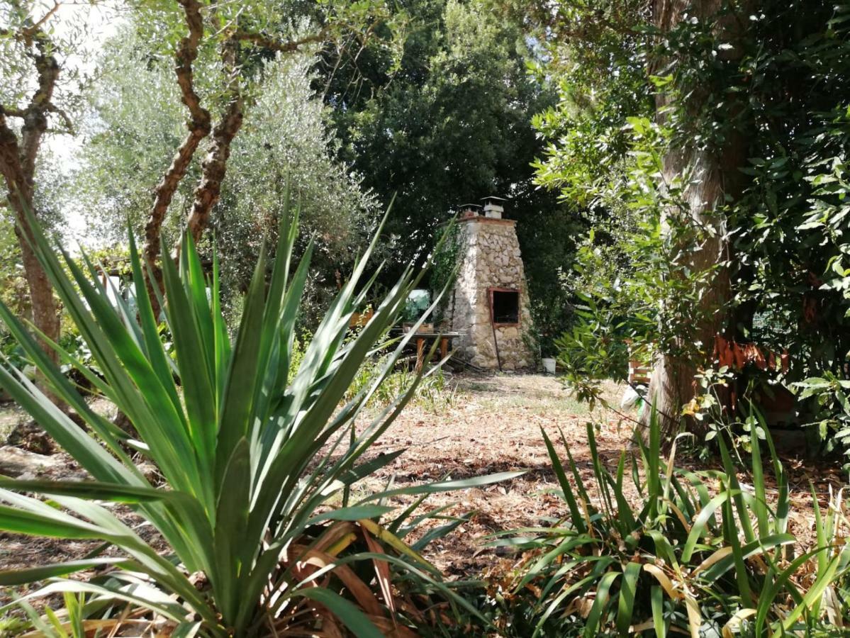דירות קולה ואל ד'אלזה Nel Chianti Lungo La Francigena מראה חיצוני תמונה