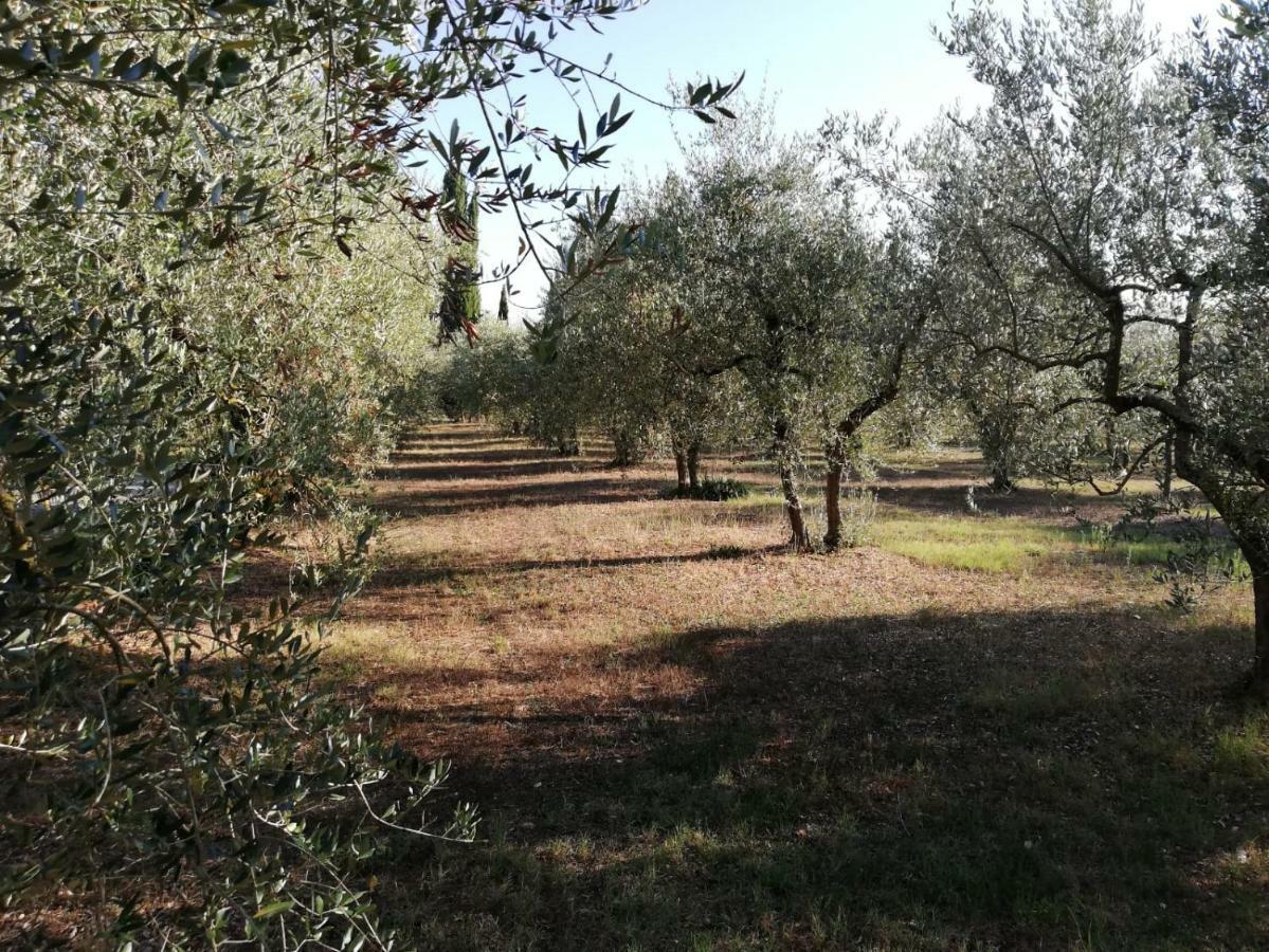 דירות קולה ואל ד'אלזה Nel Chianti Lungo La Francigena מראה חיצוני תמונה
