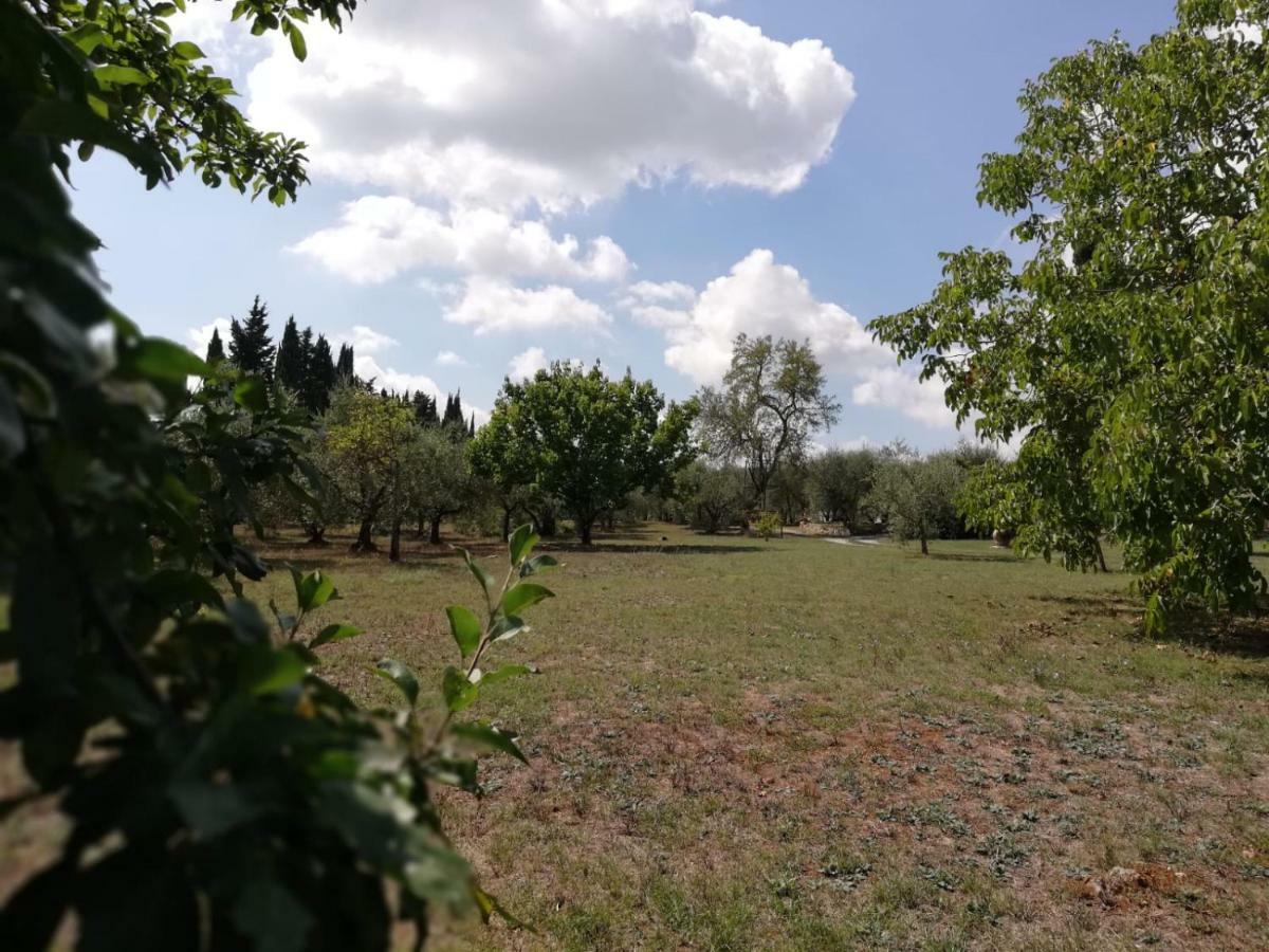 דירות קולה ואל ד'אלזה Nel Chianti Lungo La Francigena מראה חיצוני תמונה