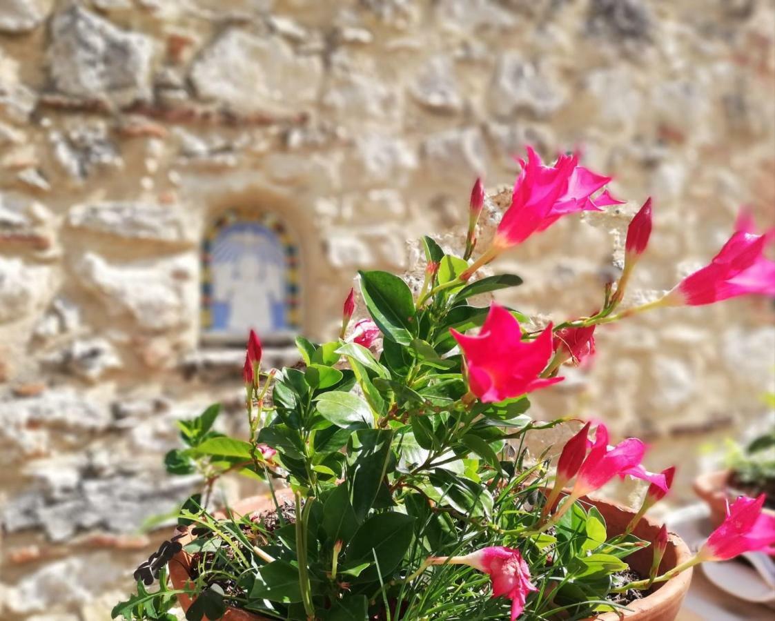 דירות קולה ואל ד'אלזה Nel Chianti Lungo La Francigena מראה חיצוני תמונה