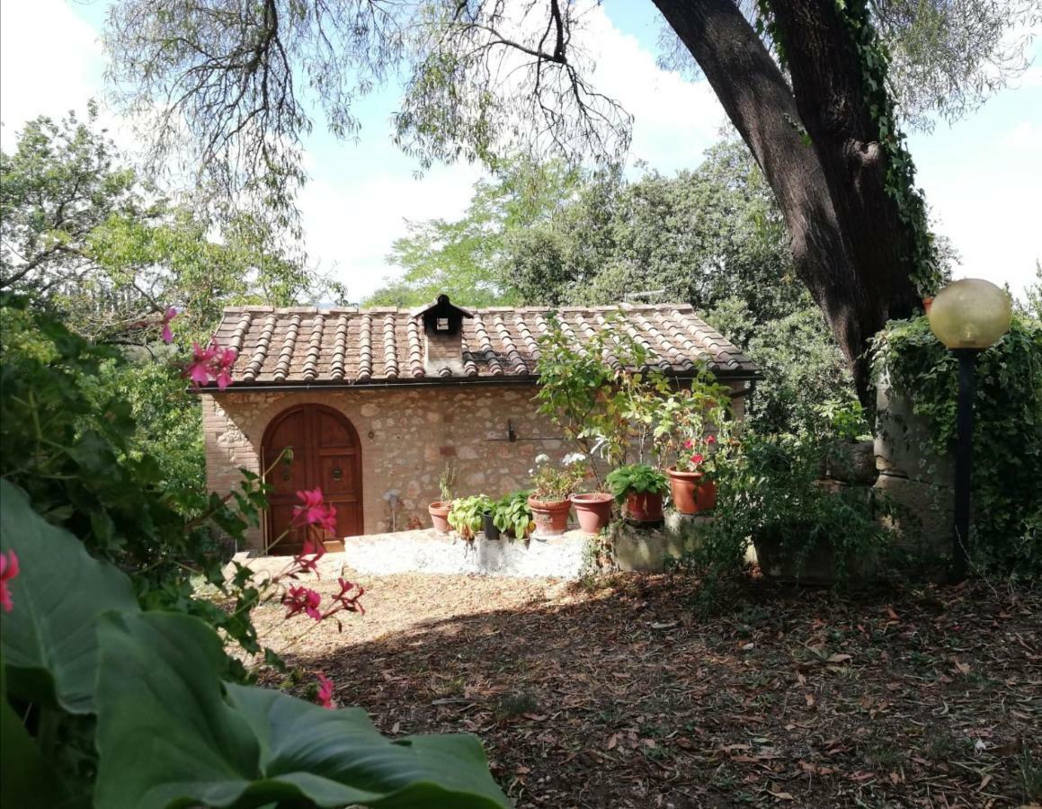 דירות קולה ואל ד'אלזה Nel Chianti Lungo La Francigena מראה חיצוני תמונה