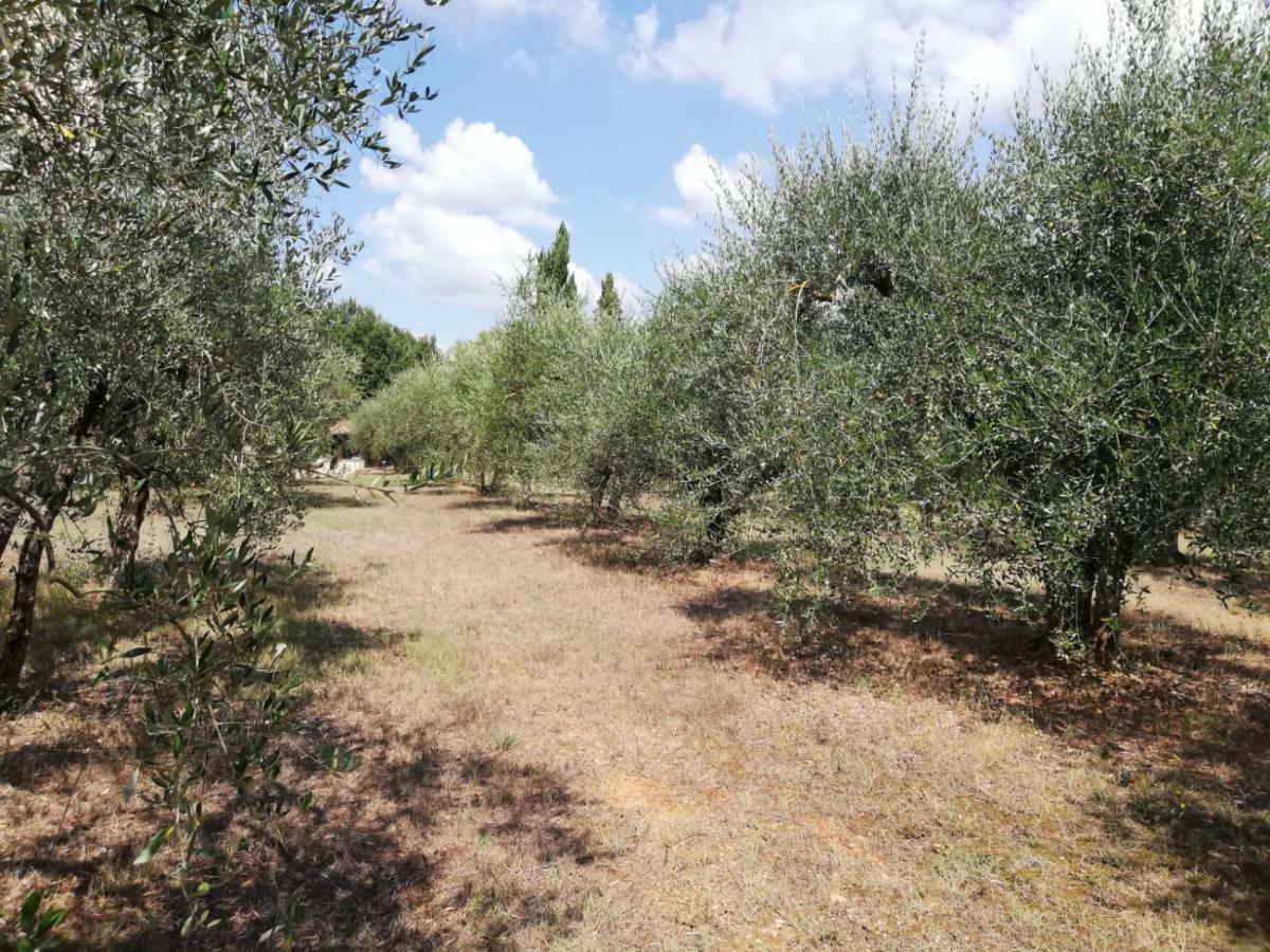 דירות קולה ואל ד'אלזה Nel Chianti Lungo La Francigena מראה חיצוני תמונה