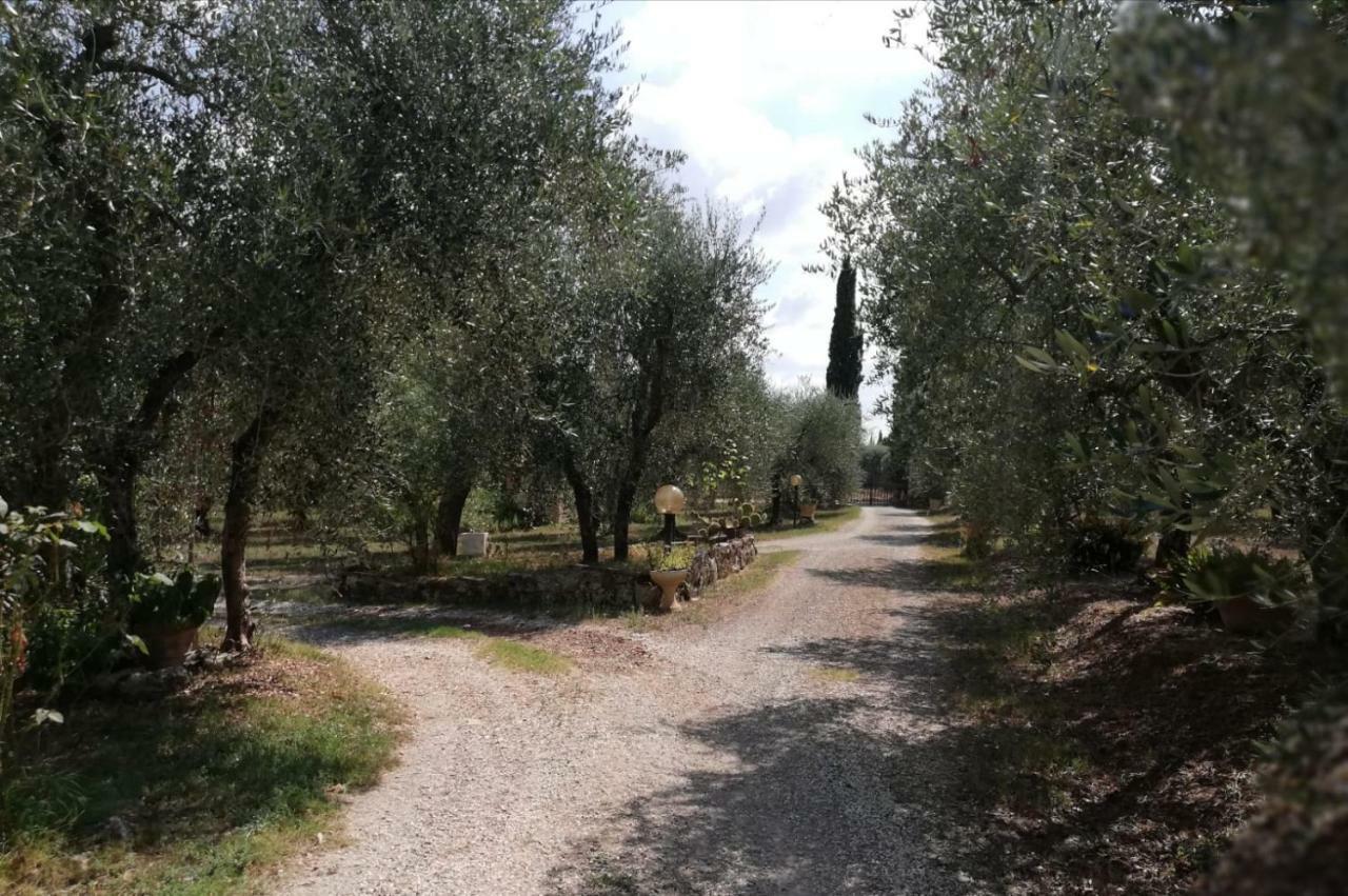 דירות קולה ואל ד'אלזה Nel Chianti Lungo La Francigena מראה חיצוני תמונה